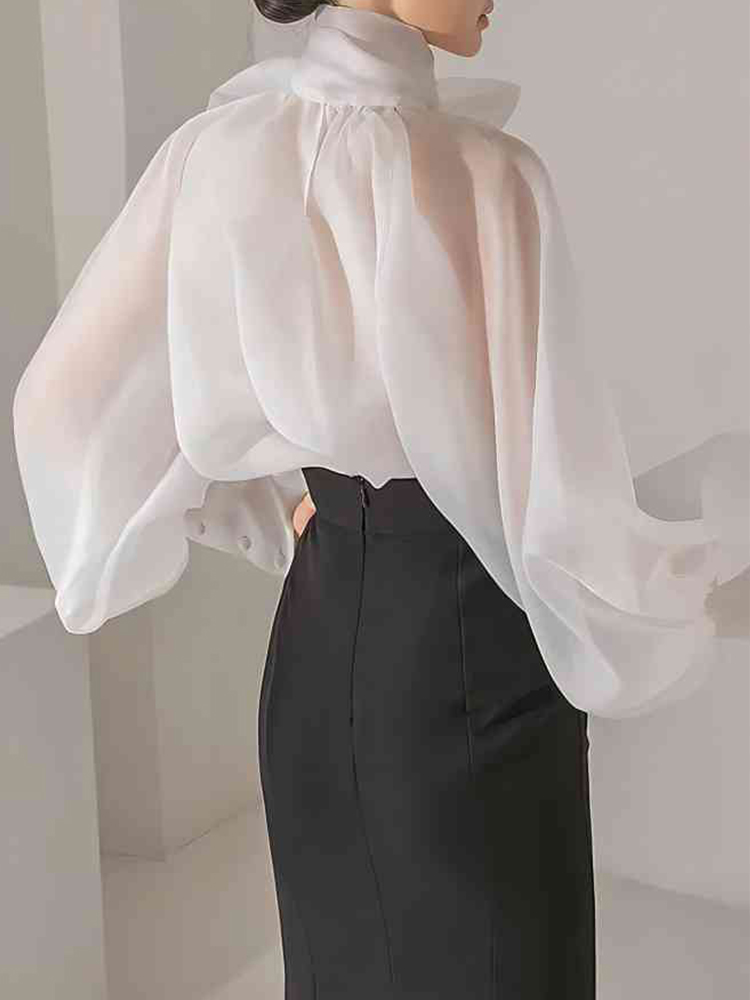 Women's Elegant Lantern Sleeve - Street Fashion Necklace incelemesi ve fiyatı